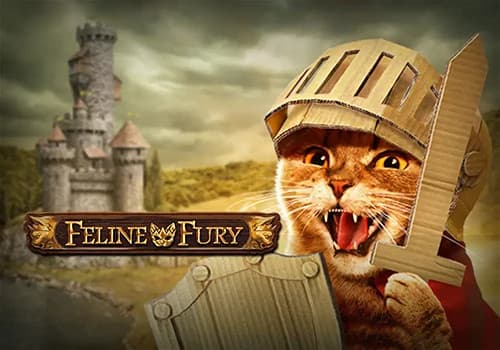 Feline Fury