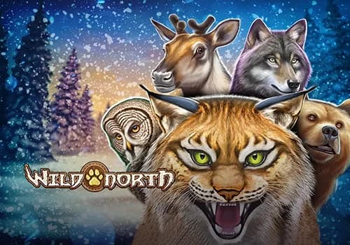 Wild North